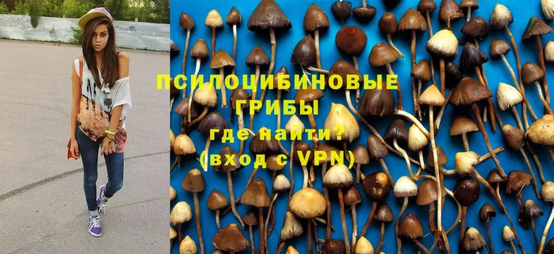 Галлюциногенные грибы Psilocybine cubensis Кушва